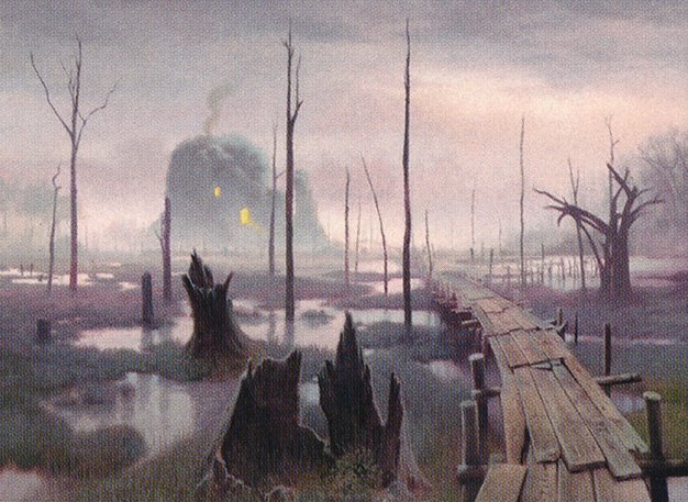 Swamp