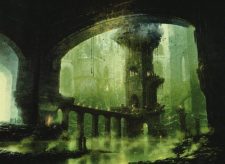 Swamp