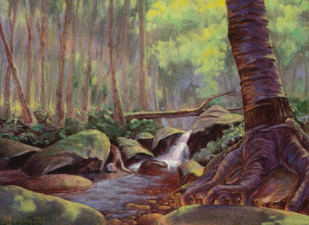 Tranquil Thicket