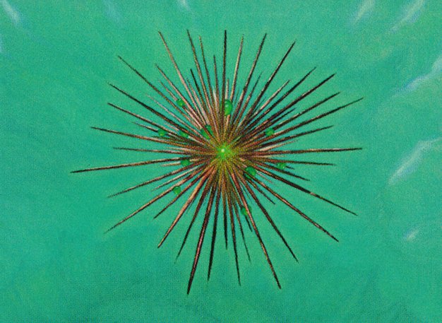 Wayfarer’s Bauble