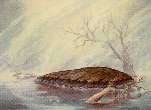 Barren Moor