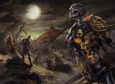 Champion of Stray Souls