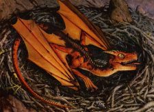 Dragon Whelp