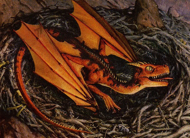Dragon Whelp
