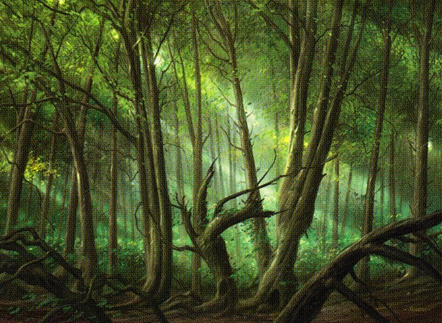 Forest