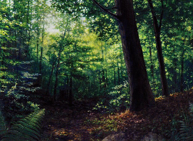 Forest