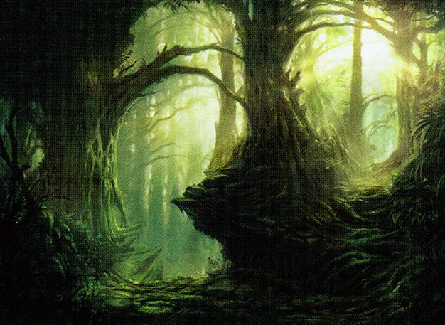 Forest