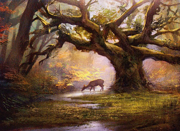 Forest