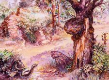 Havenwood Battleground