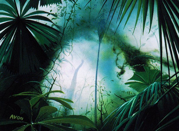 Jungle Basin