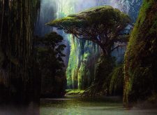 Jungle Hollow