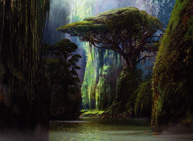 Jungle Hollow