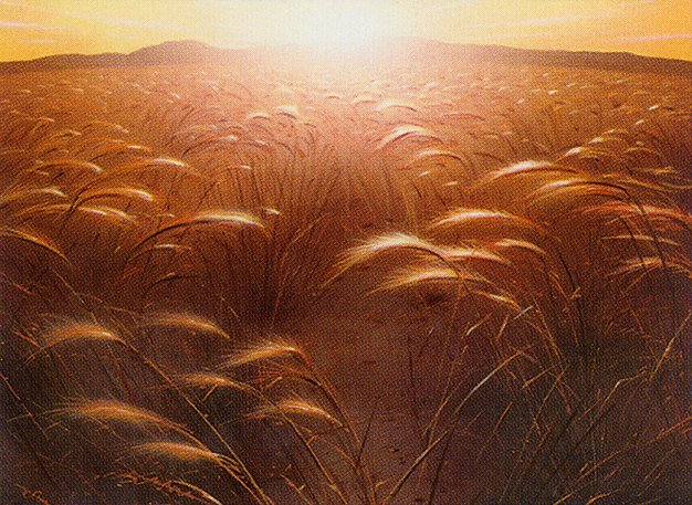 Plains