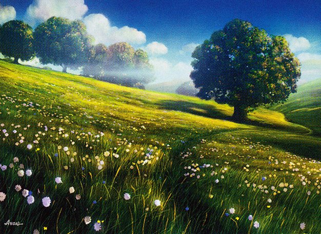Plains