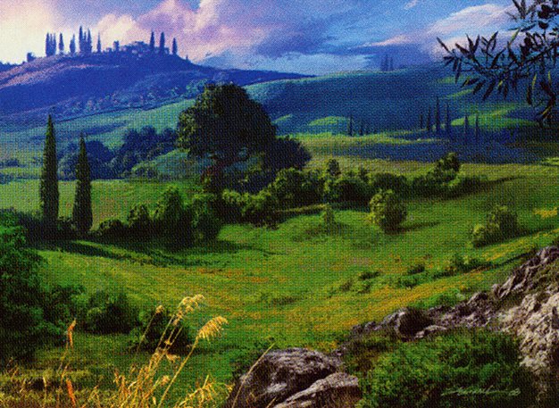 Plains