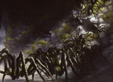 Spider Spawning