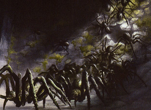 Spider Spawning