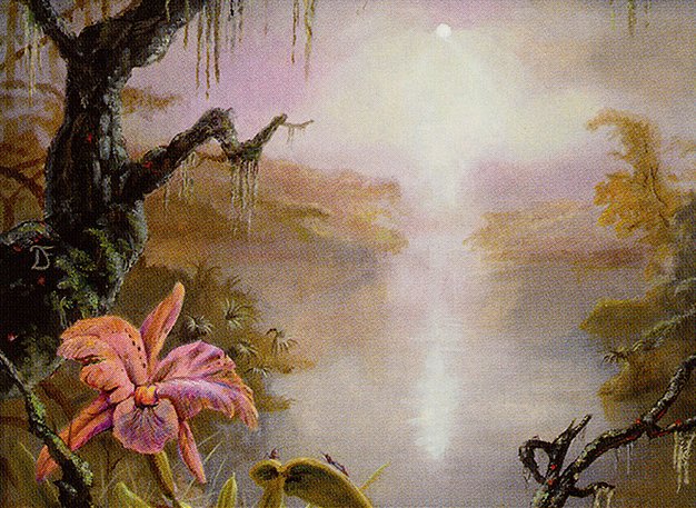 Swamp