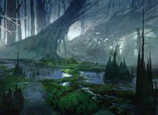 Swamp