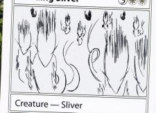 Banding Sliver