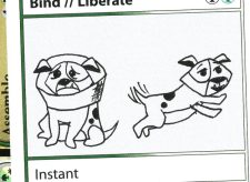 Bind // Liberate