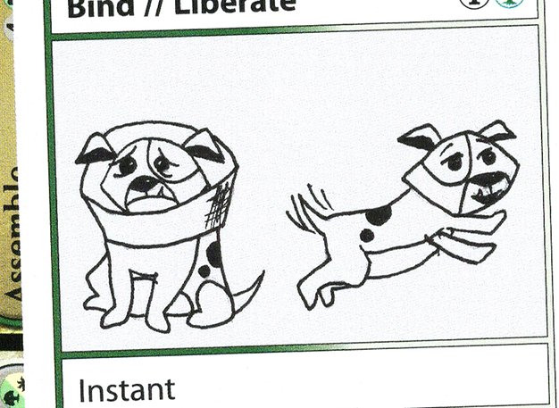 Bind // Liberate