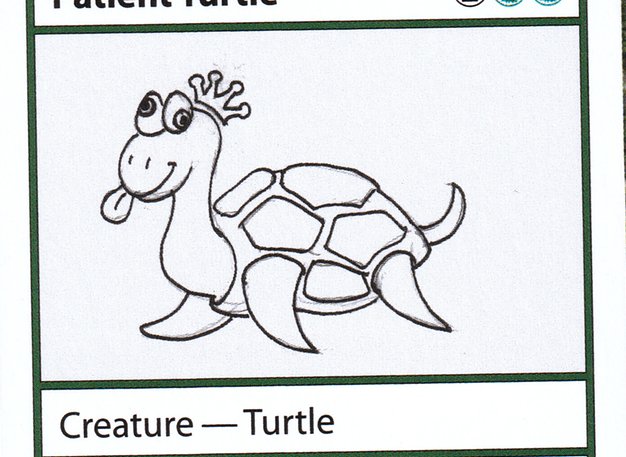 Patient Turtle