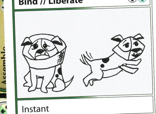 Bind // Liberate