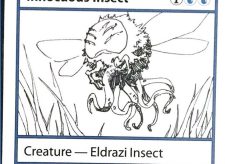 Innocuous Insect