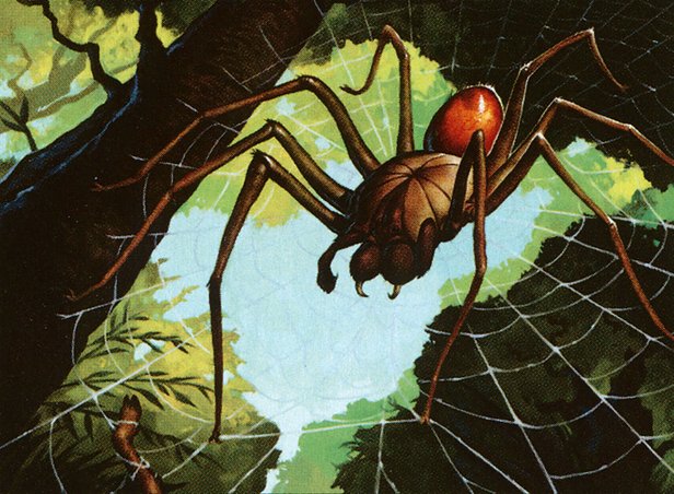 Deadly Recluse