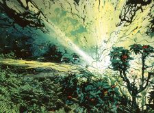 Explosive Vegetation