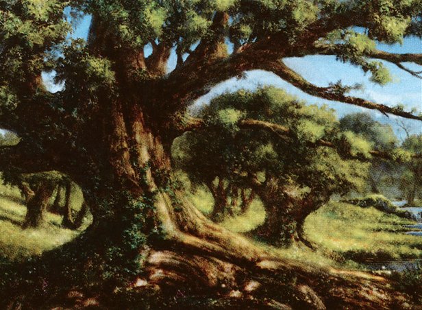 Forest