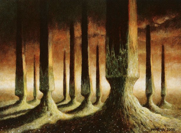 Fungal Reaches