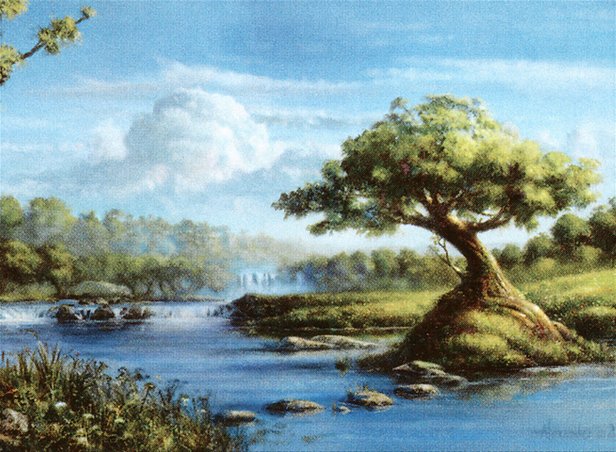 Island