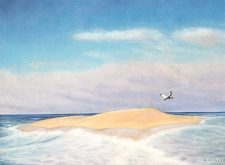 Lonely Sandbar