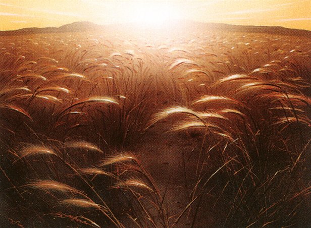 Plains