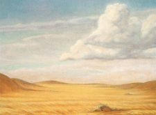 Secluded Steppe