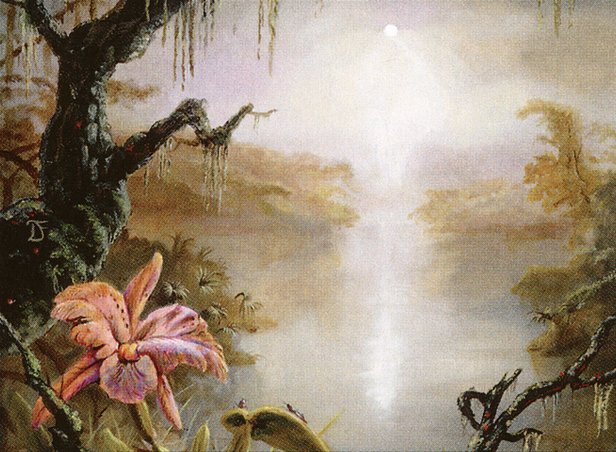 Swamp