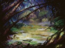 Swamp