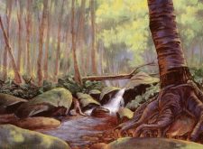 Tranquil Thicket
