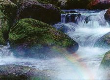 Vivid Creek