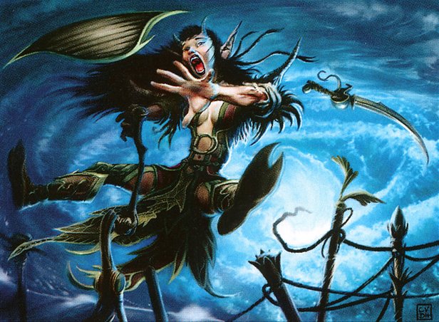 Whirlpool Whelm
