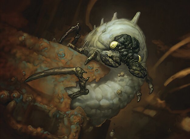 Carrion Grub