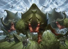 Crash of Rhino Beetles