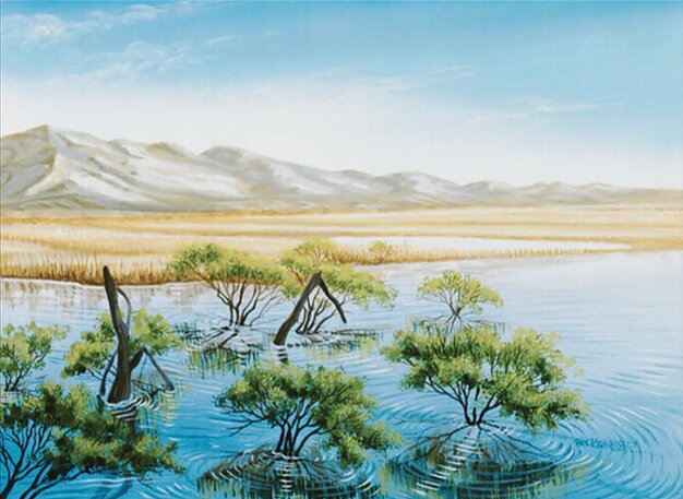Flood Plain