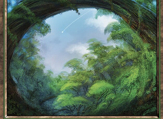 Forest