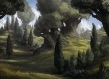 Forest