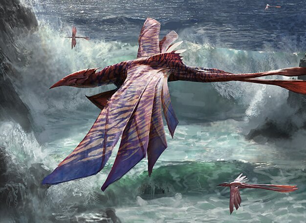 Galerider Sliver