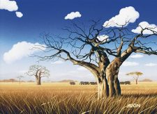 Grasslands
