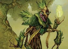 Molimo, Maro-Sorcerer